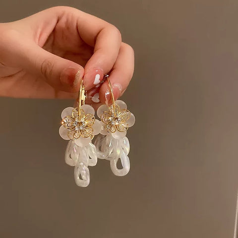 Arzonai Luxury Earrings for women and Girls